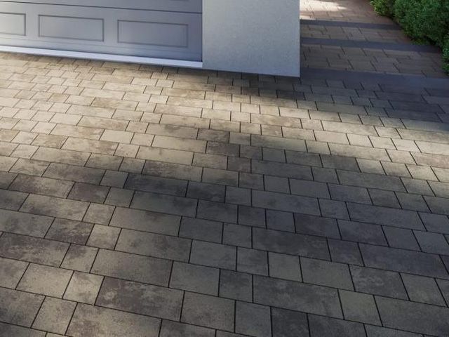 Модо від Мій двір